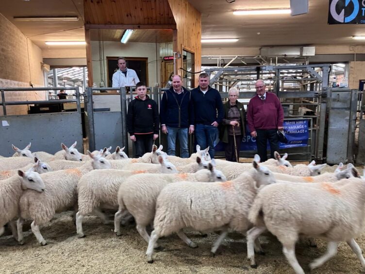 L-r in the ring are Mason Macleod, of Gow Transport, Alan & James Bradley from Tillyminate, and ewe lamb judges Heather & Willie Stewart. 