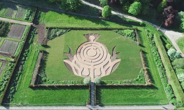 Aerial view of thistle maze at Balmoral