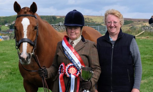 Judges chose the top horse as their champion of champions at Lairg.