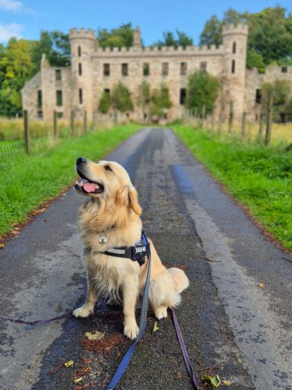 Tales of Turner at Fetternear Estate