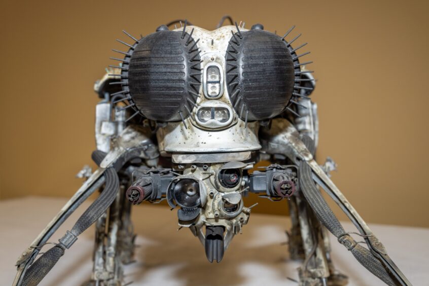 Botfly, a model with bug eyes and six legs. The eyes are ear defenders, with hair brush bristles coming out. The legs are windscreen wipers and Botfly sports an assortment of lenses from old cameras and binoculars.