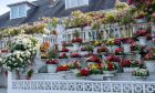 Is this the most impressive garden in Torry? Image: Kenny Elrick/DC Thomson