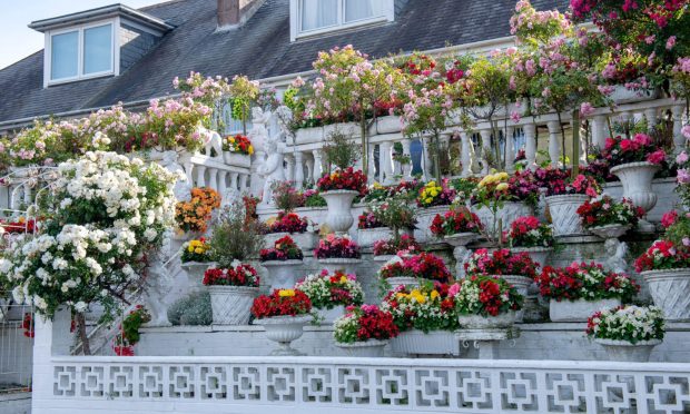 Is this the most impressive garden in Torry? Image: Kenny Elrick/DC Thomson