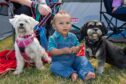 10 month old RJ Alabi with Nala and Pepper. Image: Kenny Elrick/DC Thomson