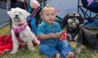 10 month old RJ Alabi with Nala and Pepper. Image: Kenny Elrick/DC Thomson