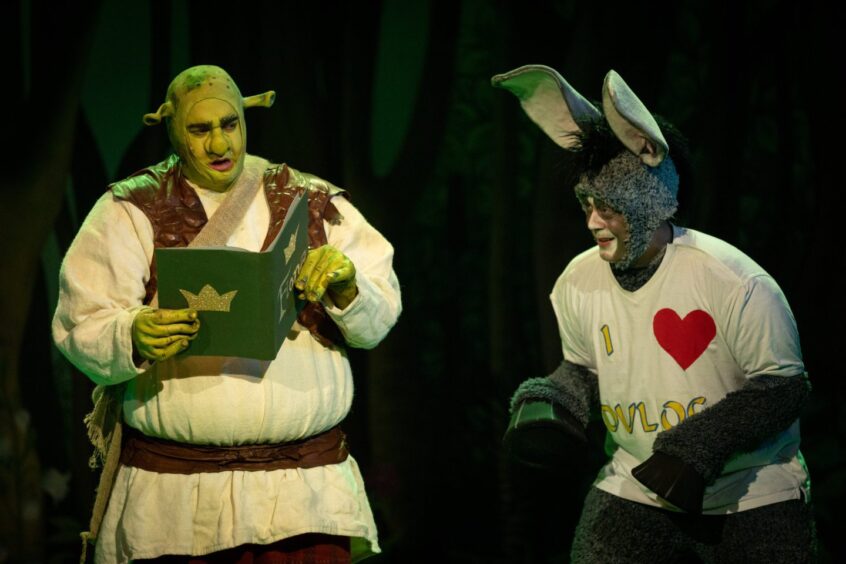 Liam MacAskill as Shrek 