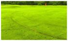 Tyre marks are visible across one of the greens at the Fort William course. Image: Sinclair Gunn