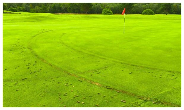 Tyre marks are visible across one of the greens at the Fort William course. Image: Sinclair Gunn