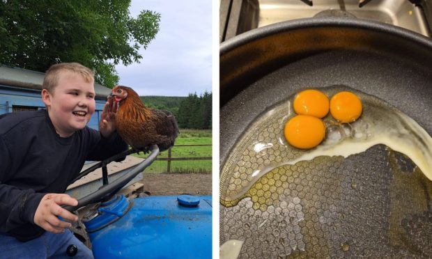 Alex Long loves the hens on Stonyfield farm. Image: Supplied by Stonyfield farm.