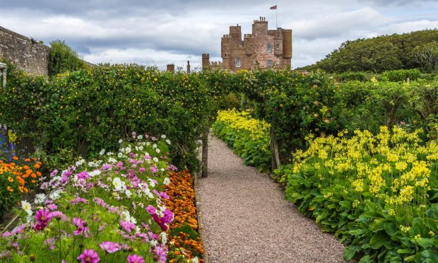 Could new battery storage sites affect bees found at the Castle of Mey gardens?