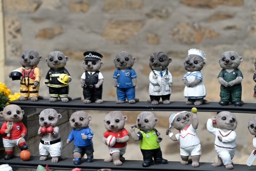 Meerkat ornaments on shelves 