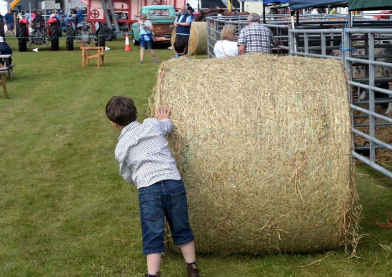 The young man pushing this giant bale is Levi grant, 6, of Gairloch.