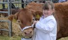 Black Isle Show