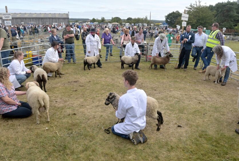 Black Isle Show