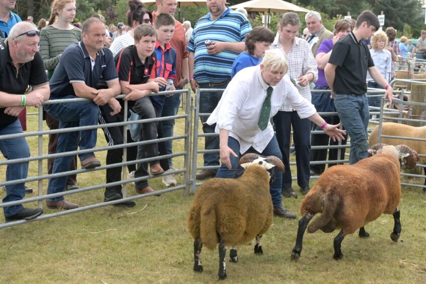 Black Isle Show