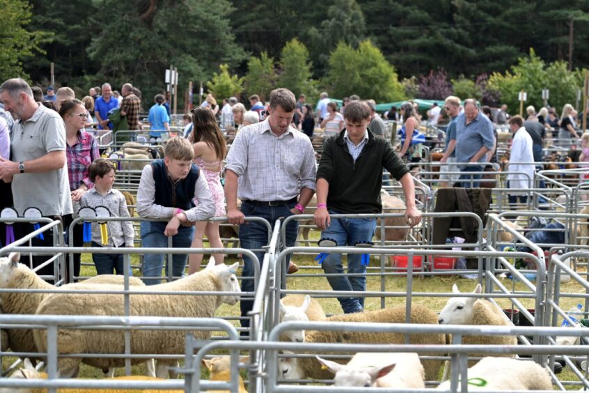 Black Isle Show