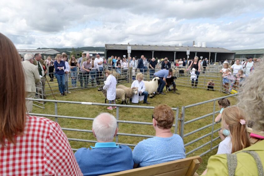 Black Isle Show