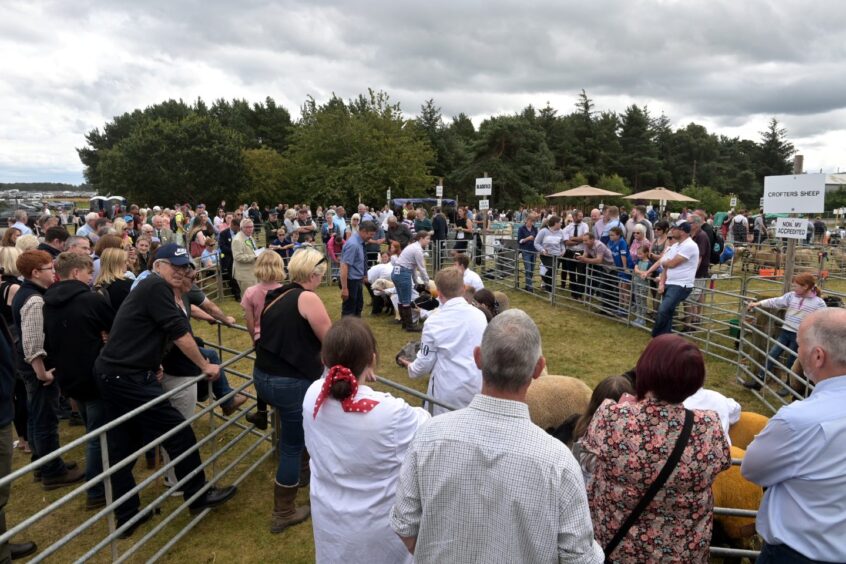 Black Isle Show.