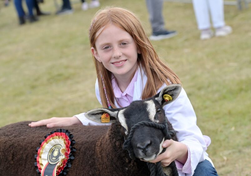 Black Isle Show