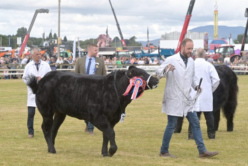 Black Isle Show