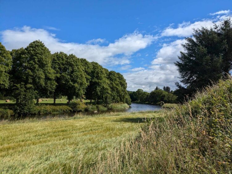 Views across barley fields to the River Don. Image: Gayle Ritchie. 