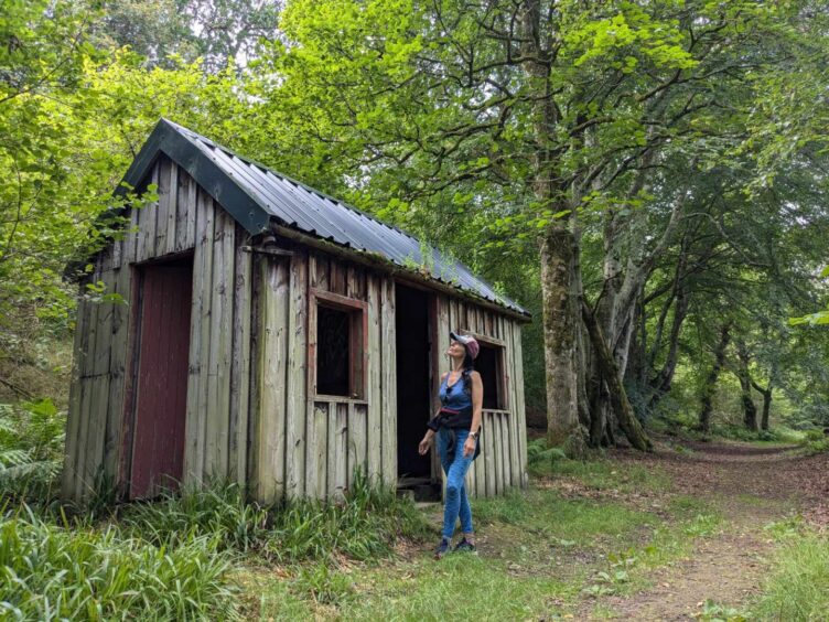 Gayle checks out a seemingly abandoned hut in Paradise Wood. Image: Gayle Ritchie.