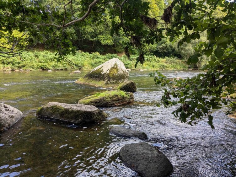 The Nebbit Stane on the River Don. Image: Gayle Ritchie.