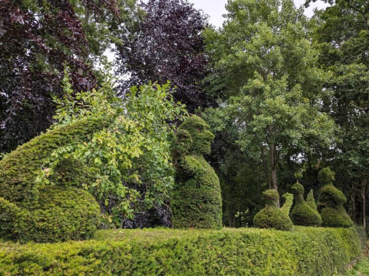 Award-winning topiary display at Paradise Cottage. Image: Gayle Ritchie. 