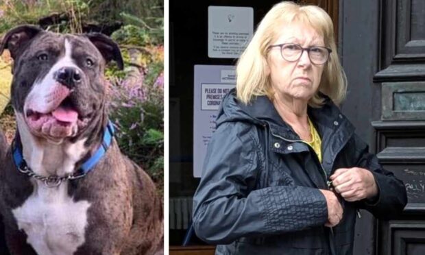 Susan Reid admitted walking her son's XL Bully Tyson in public without a muzzle. Image: Facebook/DC Thomson.