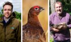 Peter Clark, director of BASC Scotland and retired RSPB officer Brian Etheridge discuss grouse shooting ahead of the Glorious Twelfth. Image: DCT Media