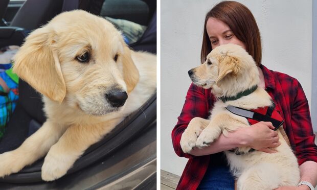 Turner and his owner Laura. Image: DCT Deisgn