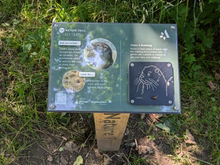 One of the new wooden posts along the nature trail at Aden Country Park. Image: Gayle Ritchie.