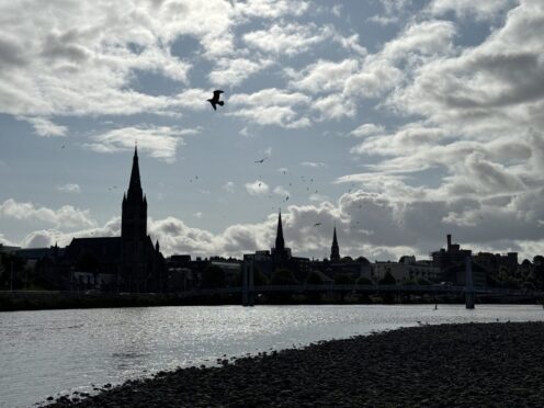 gulls around river ness