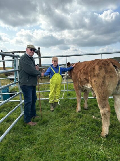 Lairg Crofters' Show