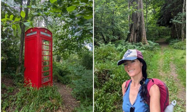 Gayle explores Paradise Wood near Monymusk - and finds an old phone box to promises to 'teletransport' visitors. Image: Gayle Ritchie.