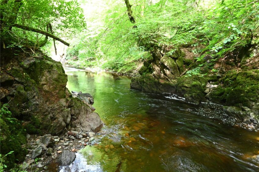 The gorge at Raera Farm near Oban. 