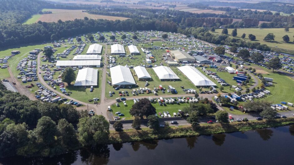 Kelso Ram Sales.