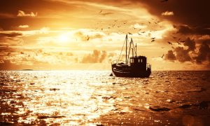 Fishing boat at sunset