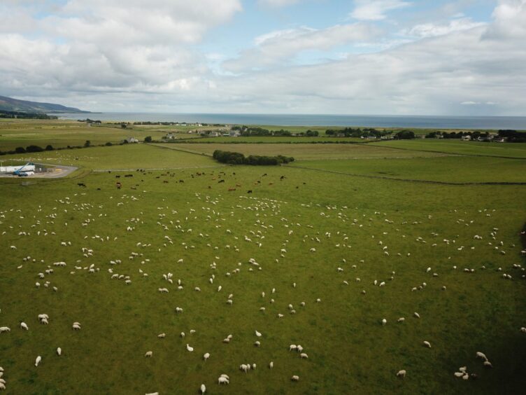 Clynelish Farm