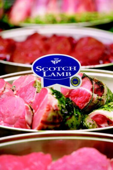 Scotch Lamb