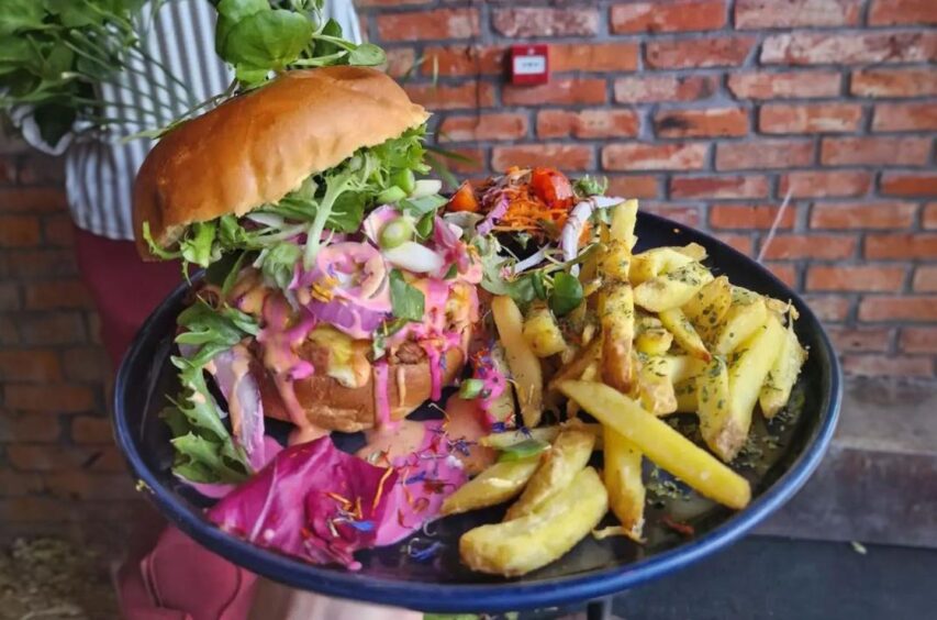 burger and chips on a blue plate