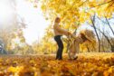 Little daughter and her mother with autumn yellow leaves have fun together in a city park in autumn