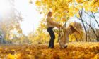 Little daughter and her mother with autumn yellow leaves have fun together in a city park in autumn