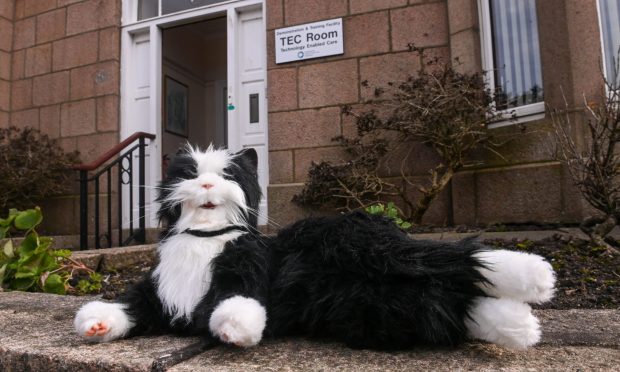 Jess the robot cat outside Peterhead's TEC Room. Jess helps dementia patients feel more relaxed. Image: Darrell Benns/DC Thomson