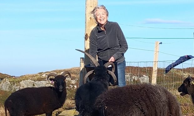 Publisher and crofter Lynn Michell with her sheep.