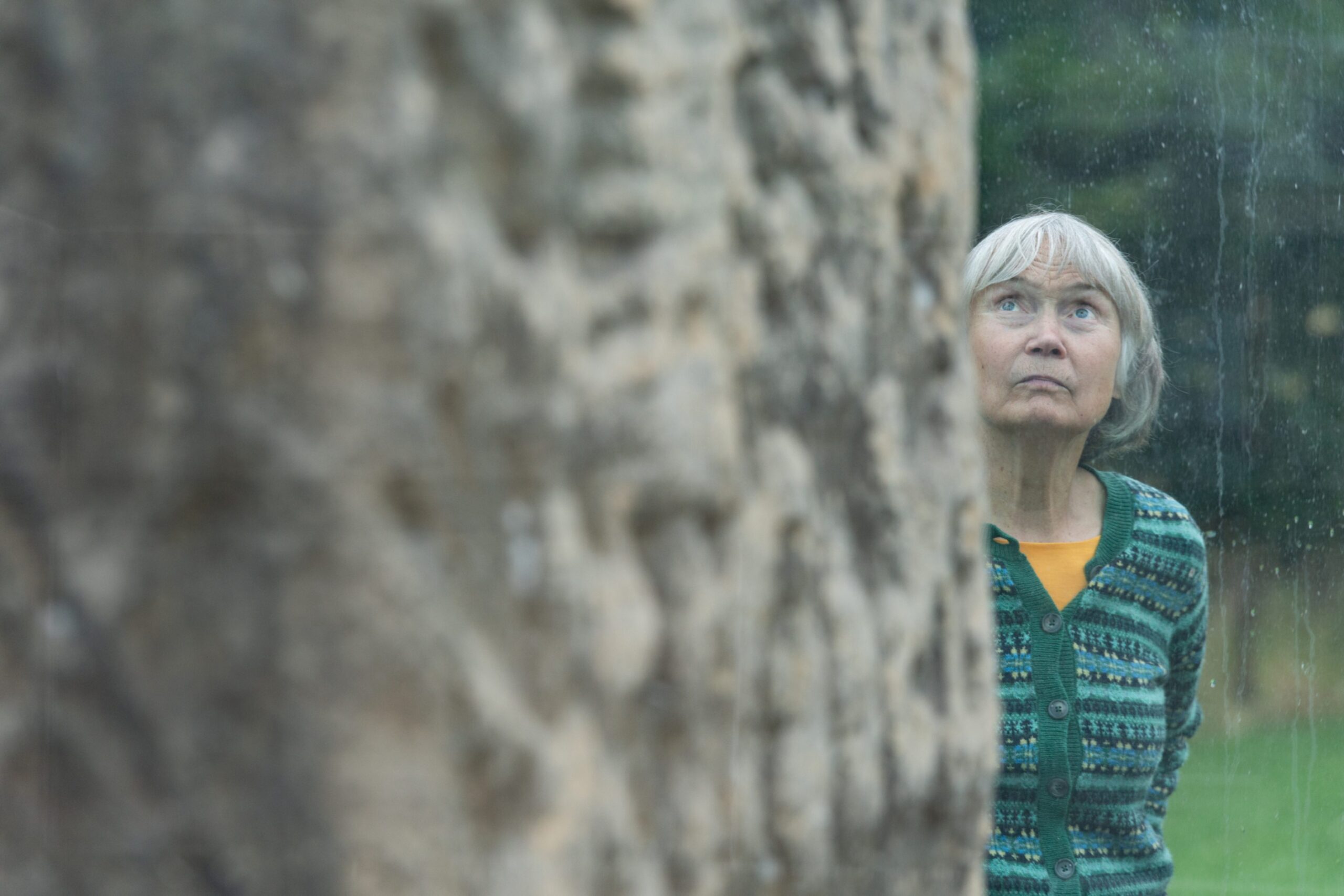 Professor Jane Geddes looking serious. 