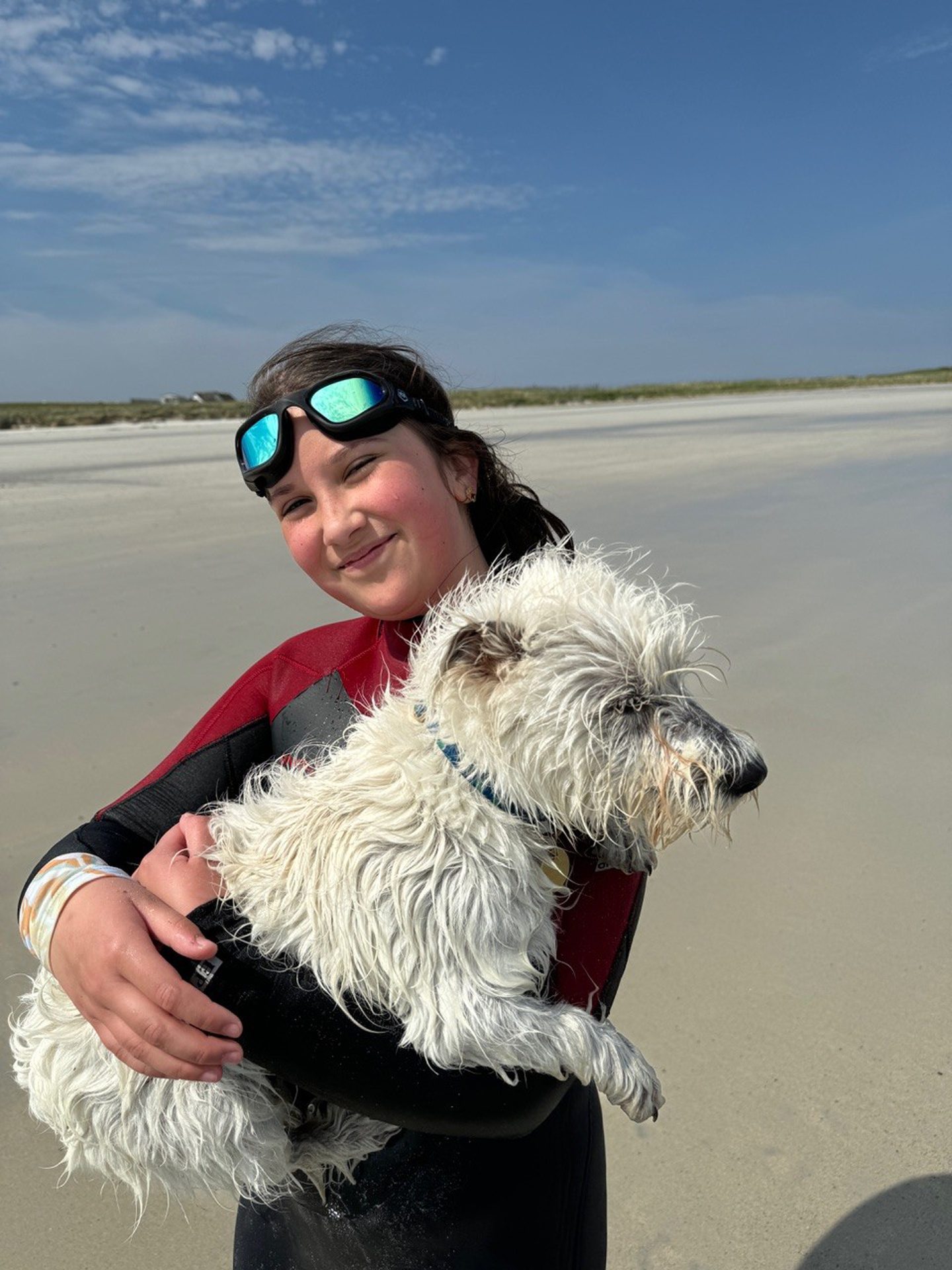 Gracie and Pollonio on a Tiree beach. 