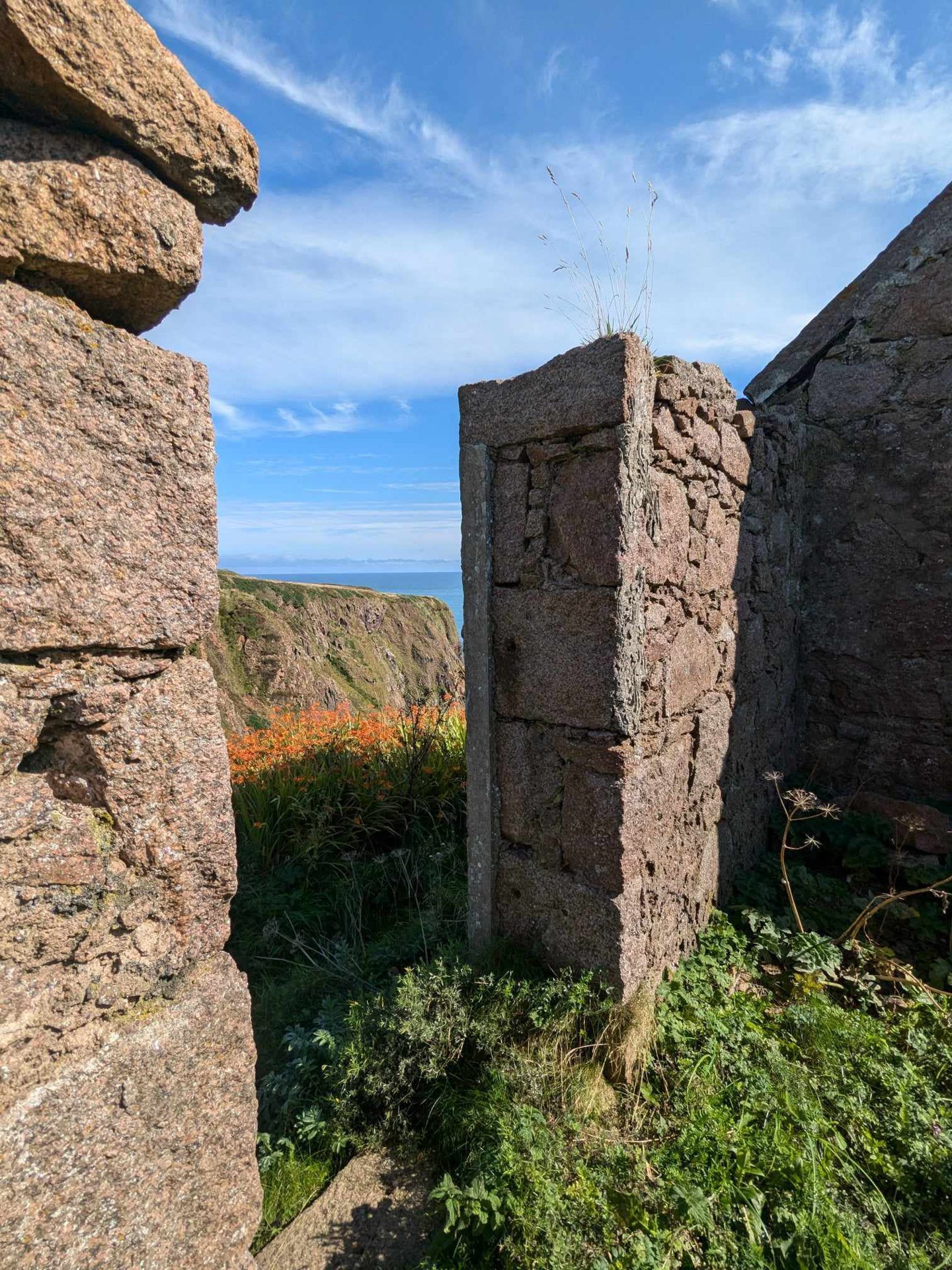 A view from a ruined house, possibly a fisherman's cottage, down to the cliffs at Longhaven. Image: Gayle Ritchie. 