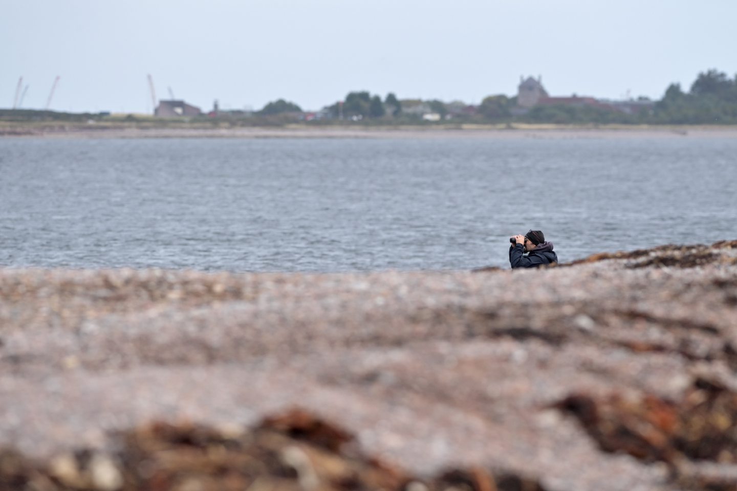 An person at Chanonry Point trying to spot the Moray Firth dolphins. 