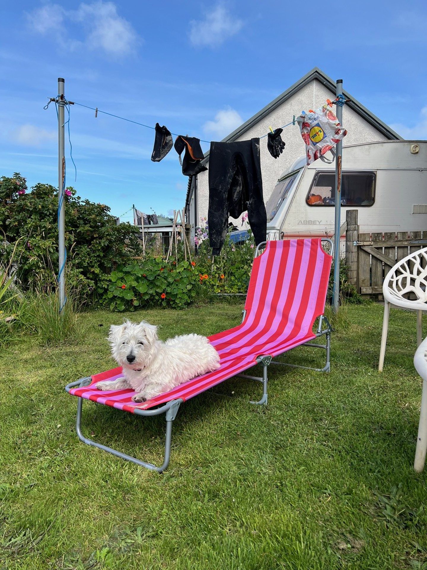 Pollonio relaxing on a deck chair